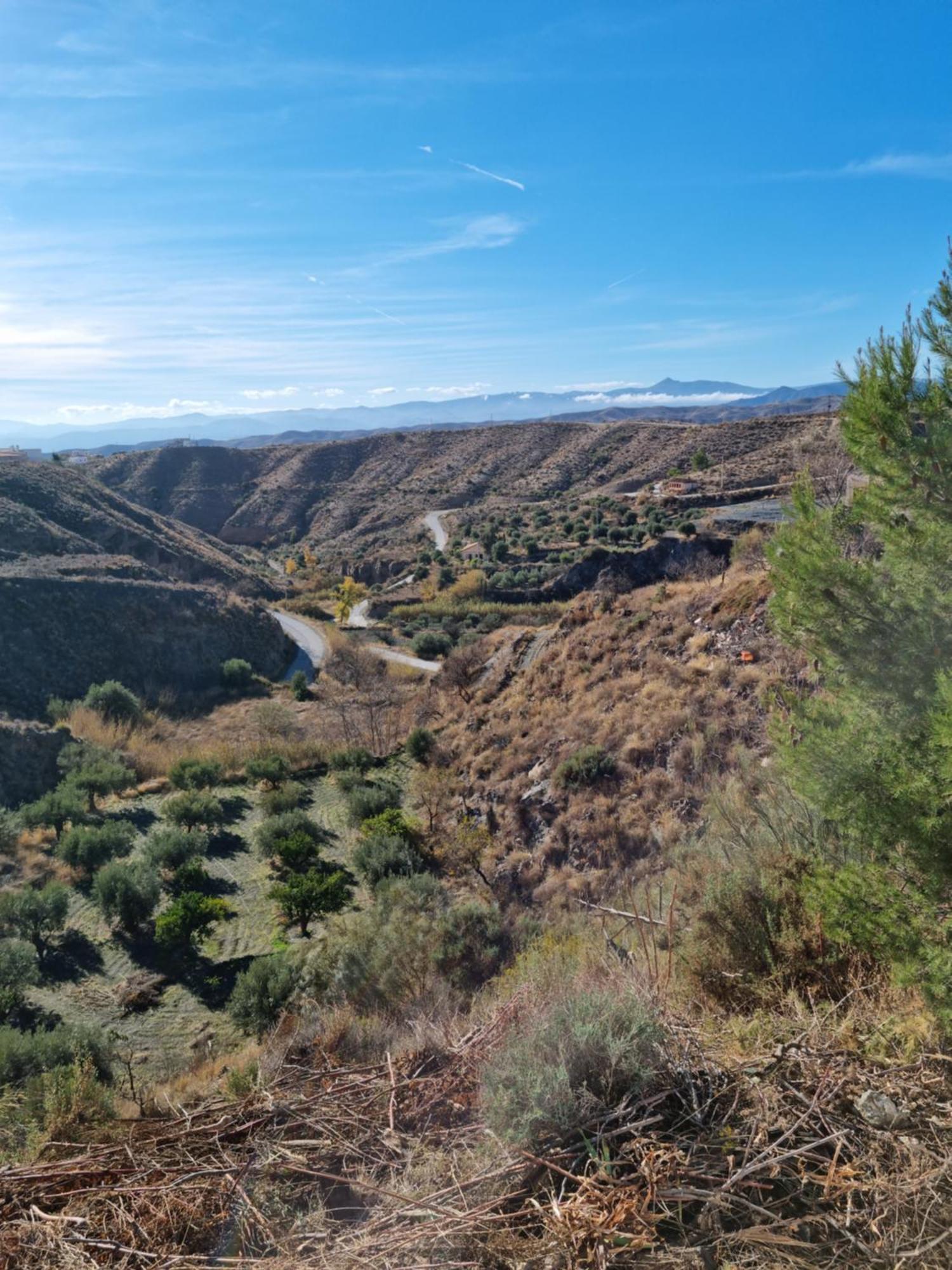 Cortijo Naturista Con Vistas-Clothing Optional Oria מראה חיצוני תמונה